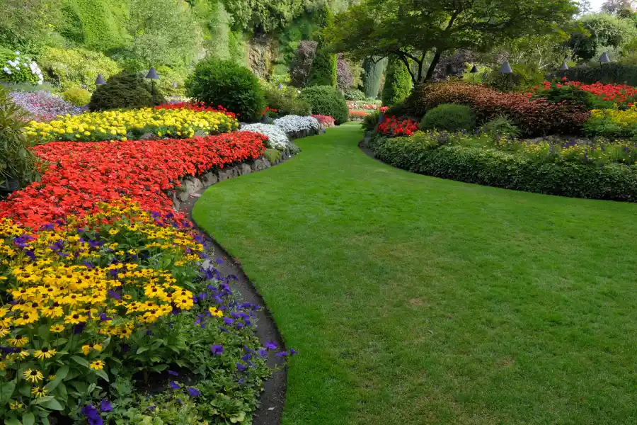 Landscaping Services